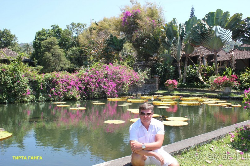 Бали моими глазами