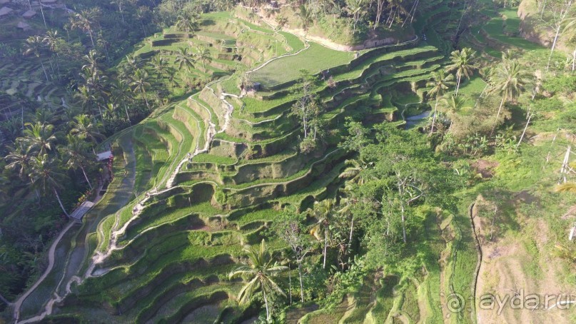 Бали моими глазами