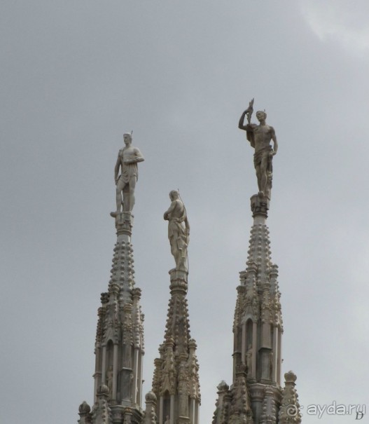 Две недели в Италии.