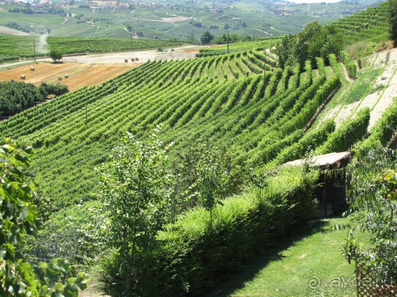 Две недели в Италии.