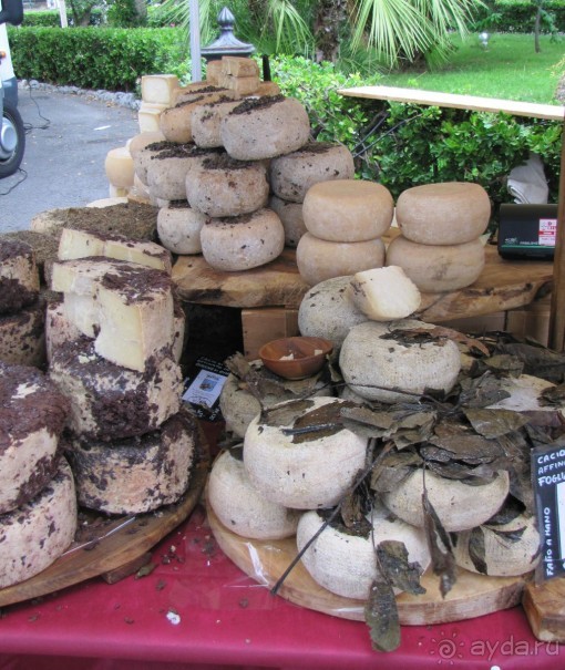 Две недели в Италии.