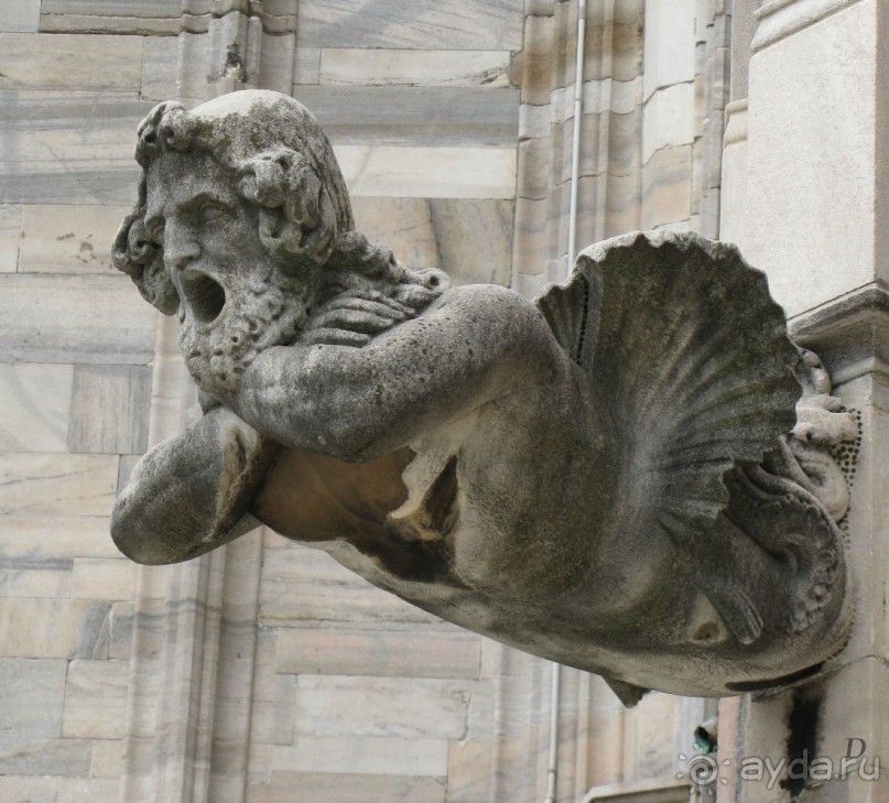 Две недели в Италии.