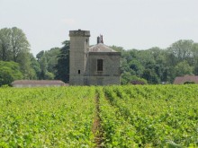 Винные прогулки по Бургундии.