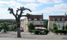 Винные прогулки по Бургундии.