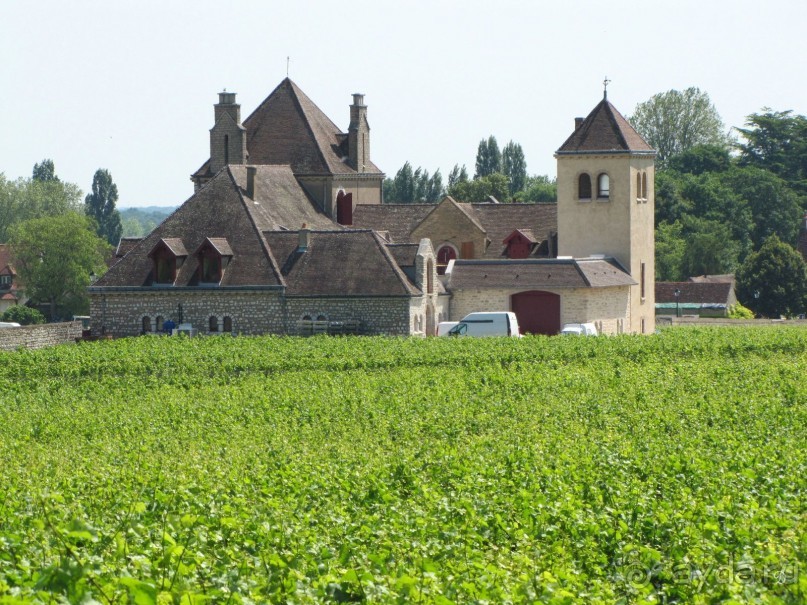 Винные прогулки по Бургундии.