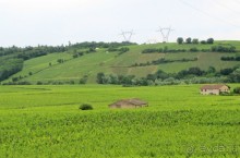 Винные прогулки по Бургундии.