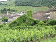 Винные прогулки по Бургундии.