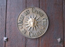 Винные прогулки по Бургундии.