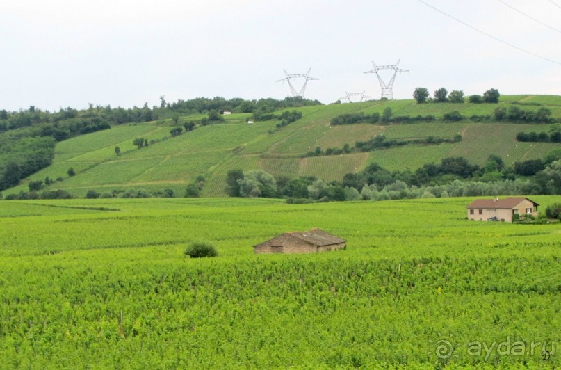 Винные прогулки по Бургундии.
