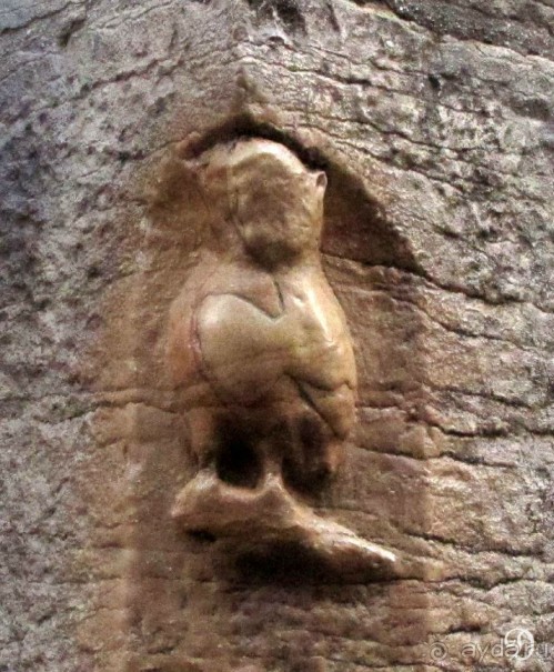 Винные прогулки по Бургундии.