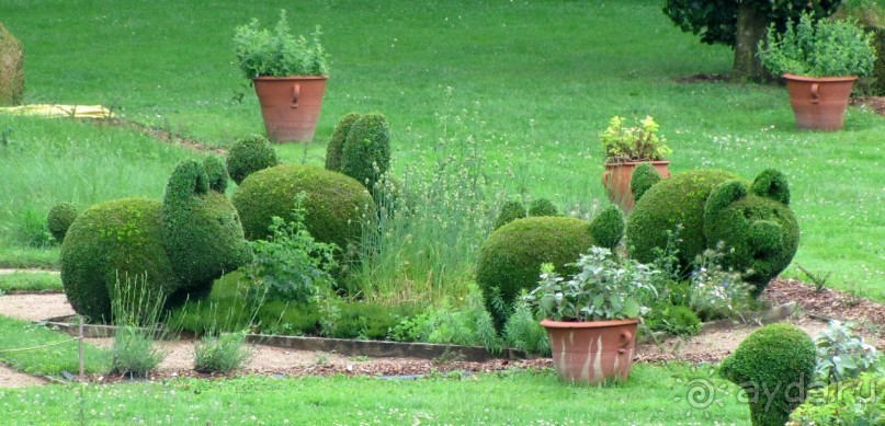 Винные прогулки по Бургундии.
