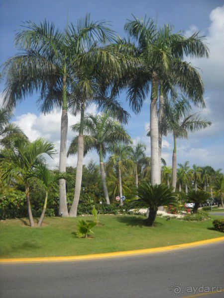 Как сбываются мечты... Часть 1. Трудности доминиканского отдыха.