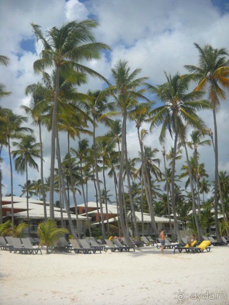 Как сбываются мечты... Часть 1. Трудности доминиканского отдыха.