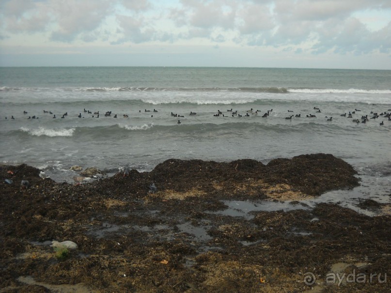 Южная зима. Часть 2. Анапа