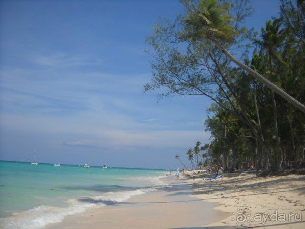 Как сбываются мечты... Часть 2. Прелести доминиканского отдыха.