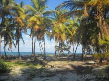 Как сбываются мечты... Часть 2. Прелести доминиканского отдыха.