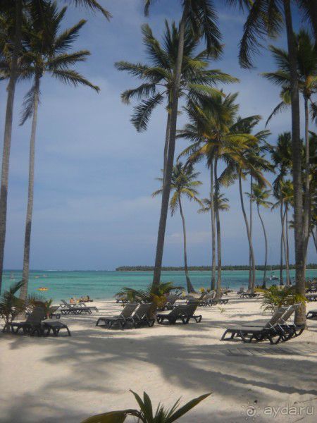 Как сбываются мечты... Часть 2. Прелести доминиканского отдыха.