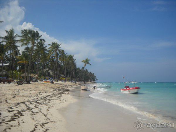 Как сбываются мечты... Часть 2. Прелести доминиканского отдыха.