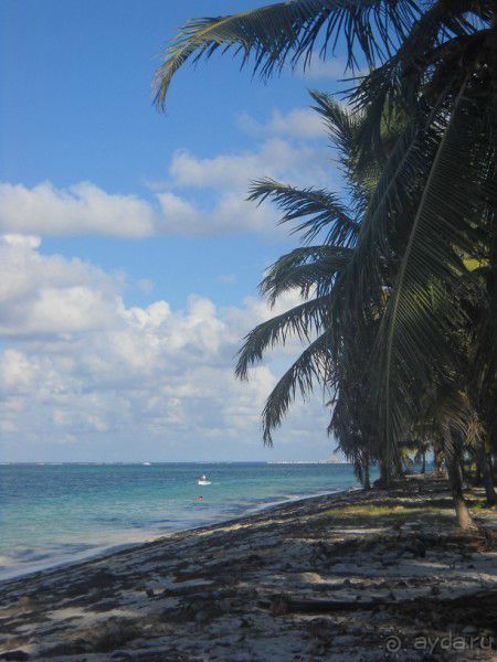 Как сбываются мечты... Часть 2. Прелести доминиканского отдыха.