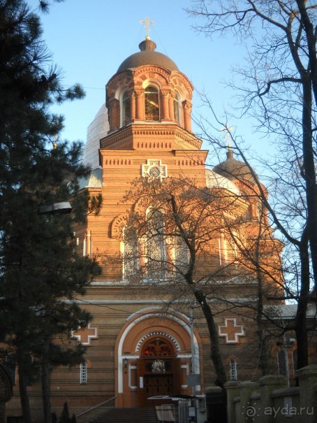 Южная зима. Часть 1. Краснодар