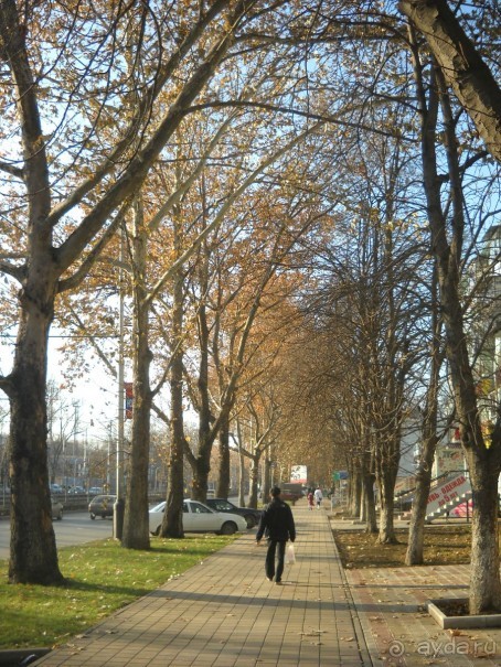 Южная зима. Часть 1. Краснодар