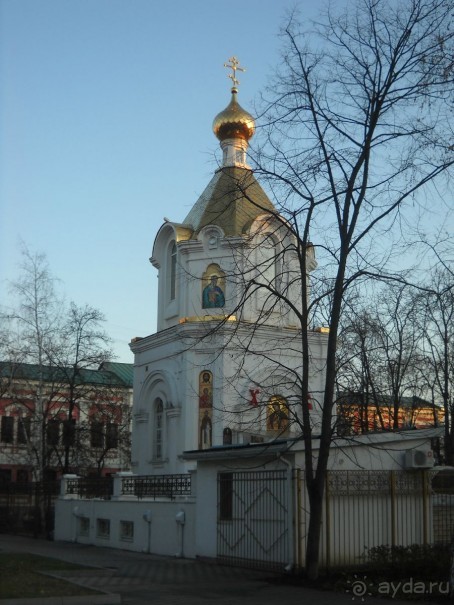 Южная зима. Часть 1. Краснодар