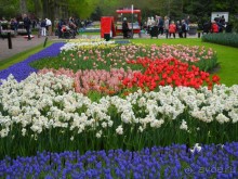 Голландия. Парк тюльпанов Кёкенхоф