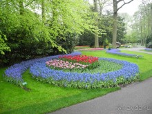 Голландия. Парк тюльпанов Кёкенхоф