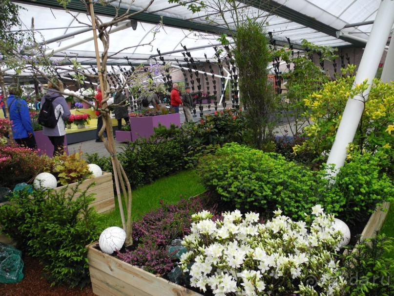 Голландия. Парк тюльпанов Кёкенхоф