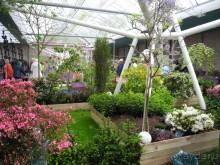 Голландия. Парк тюльпанов Кёкенхоф