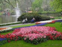 Голландия. Парк тюльпанов Кёкенхоф