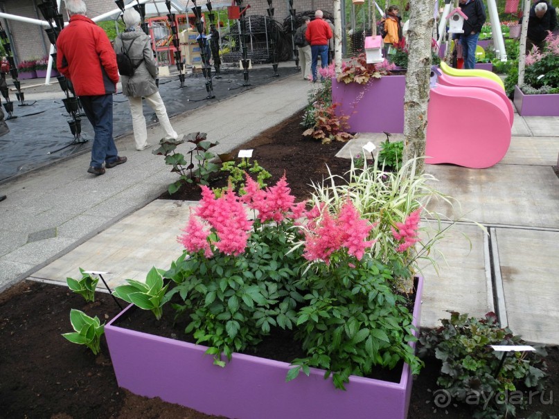 Голландия. Парк тюльпанов Кёкенхоф