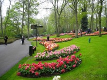 Голландия. Парк тюльпанов Кёкенхоф