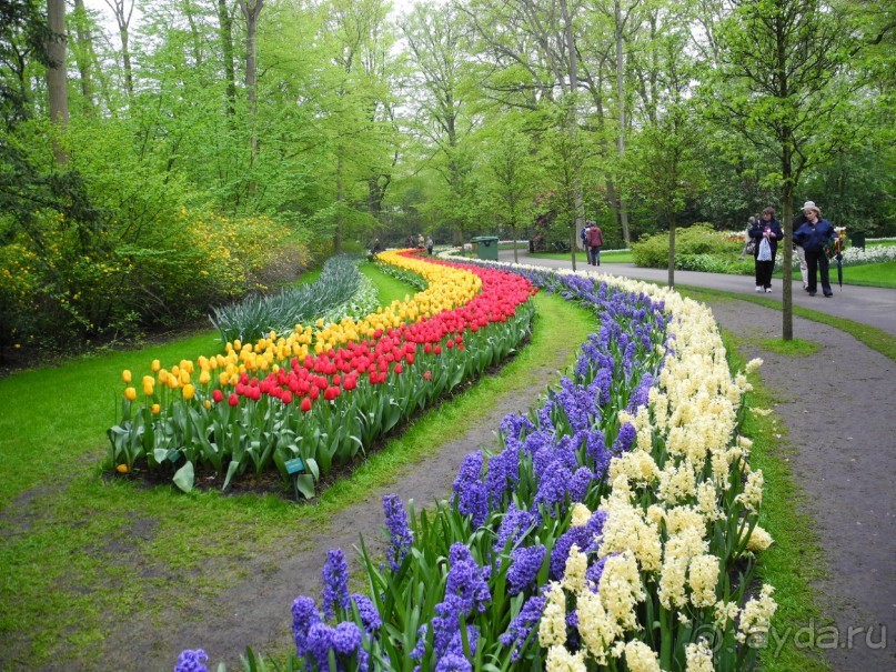 Голландия. Парк тюльпанов Кёкенхоф