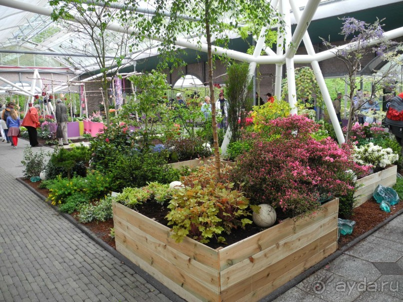 Голландия. Парк тюльпанов Кёкенхоф