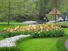 Голландия. Парк тюльпанов Кёкенхоф