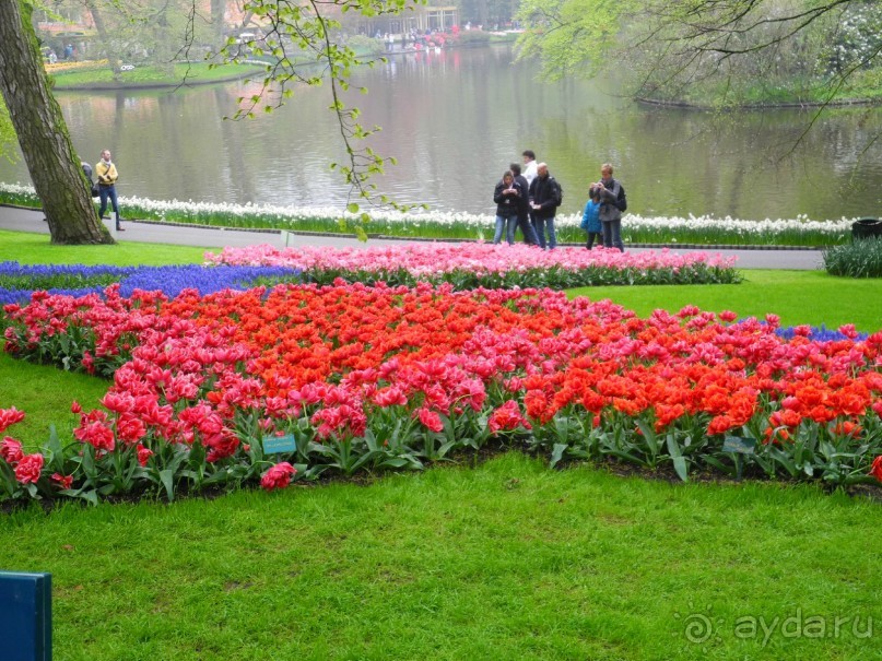 Голландия. Парк тюльпанов Кёкенхоф