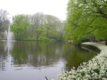 Голландия. Парк тюльпанов Кёкенхоф