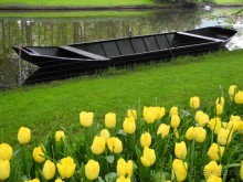 Голландия. Парк тюльпанов Кёкенхоф