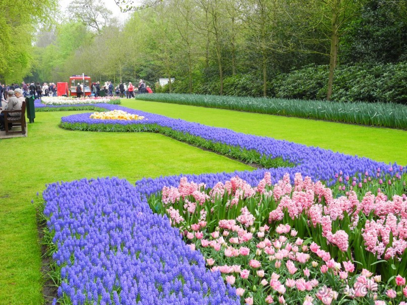 Голландия. Парк тюльпанов Кёкенхоф