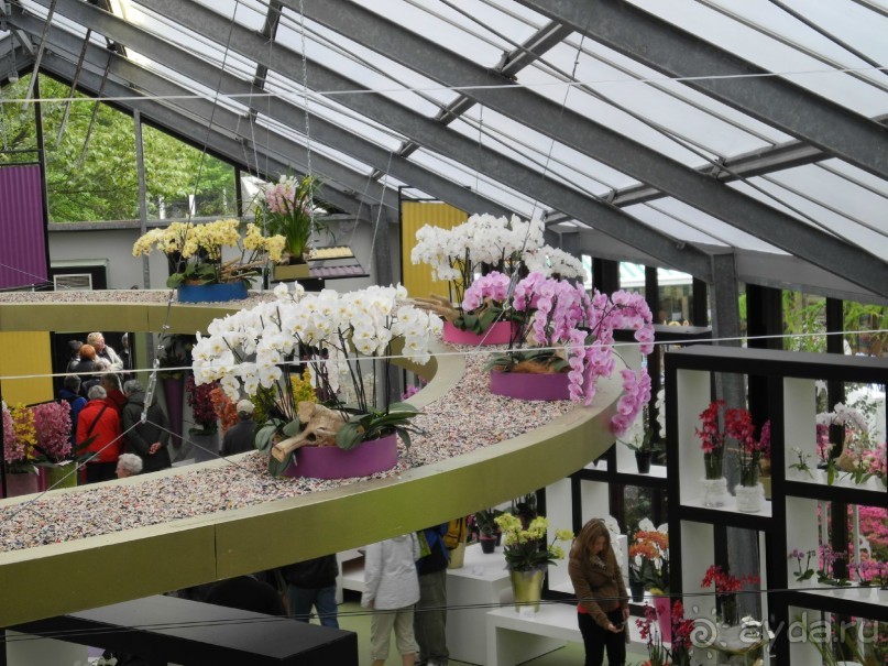 Голландия. Парк тюльпанов Кёкенхоф