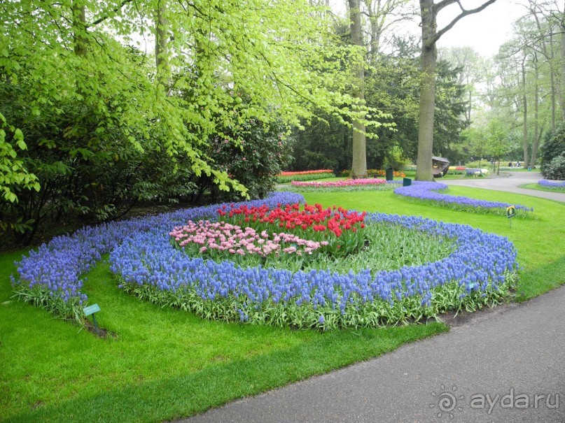 Голландия. Парк тюльпанов Кёкенхоф