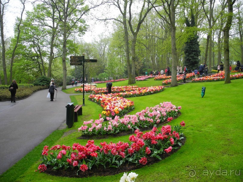 Голландия. Парк тюльпанов Кёкенхоф