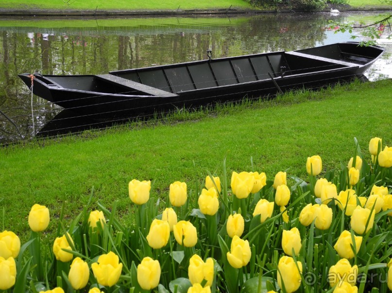 Голландия. Парк тюльпанов Кёкенхоф