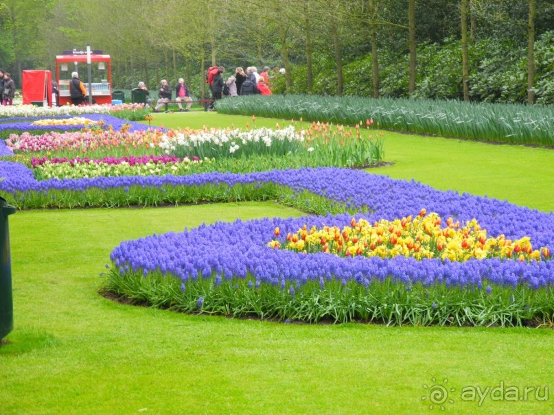 Голландия. Парк тюльпанов Кёкенхоф