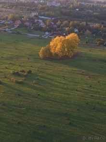 Полет на воздушном шаре