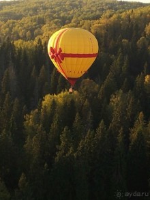 Шар "Подарок"