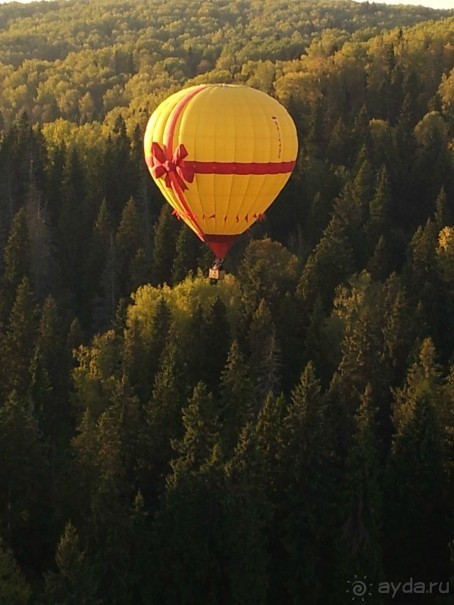 Шар "Подарок"