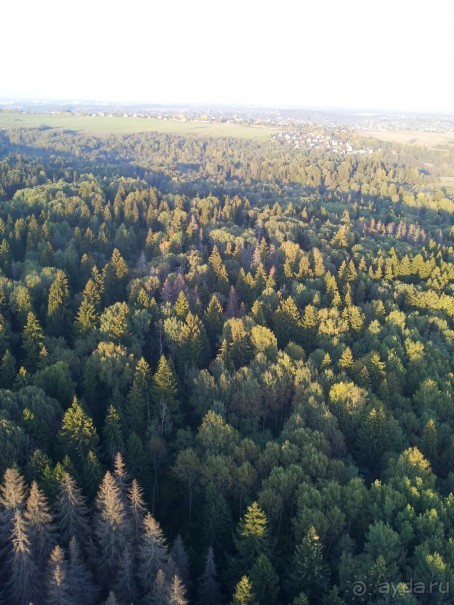 Полет на воздушном шаре