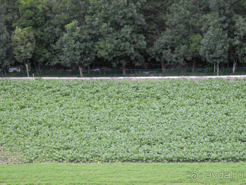 Андорра летом: шоппинг и не только. 
